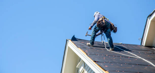 Best Flat Roof Repair Services  in Burlington, IA
